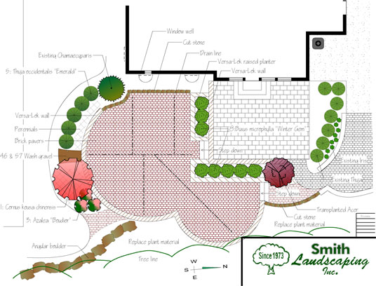 Backyard Design