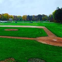 Commercial sports field landscaping