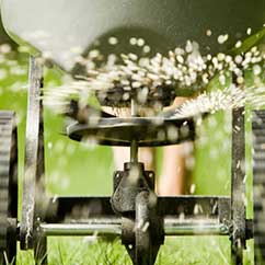 Lawn fertilizing service