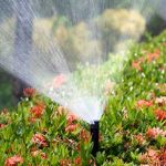flower bed irrigation