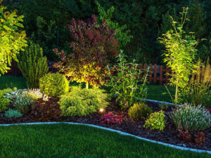 Outdoor Landscape Lighting