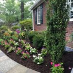 Perennial and Annual Flower Planting